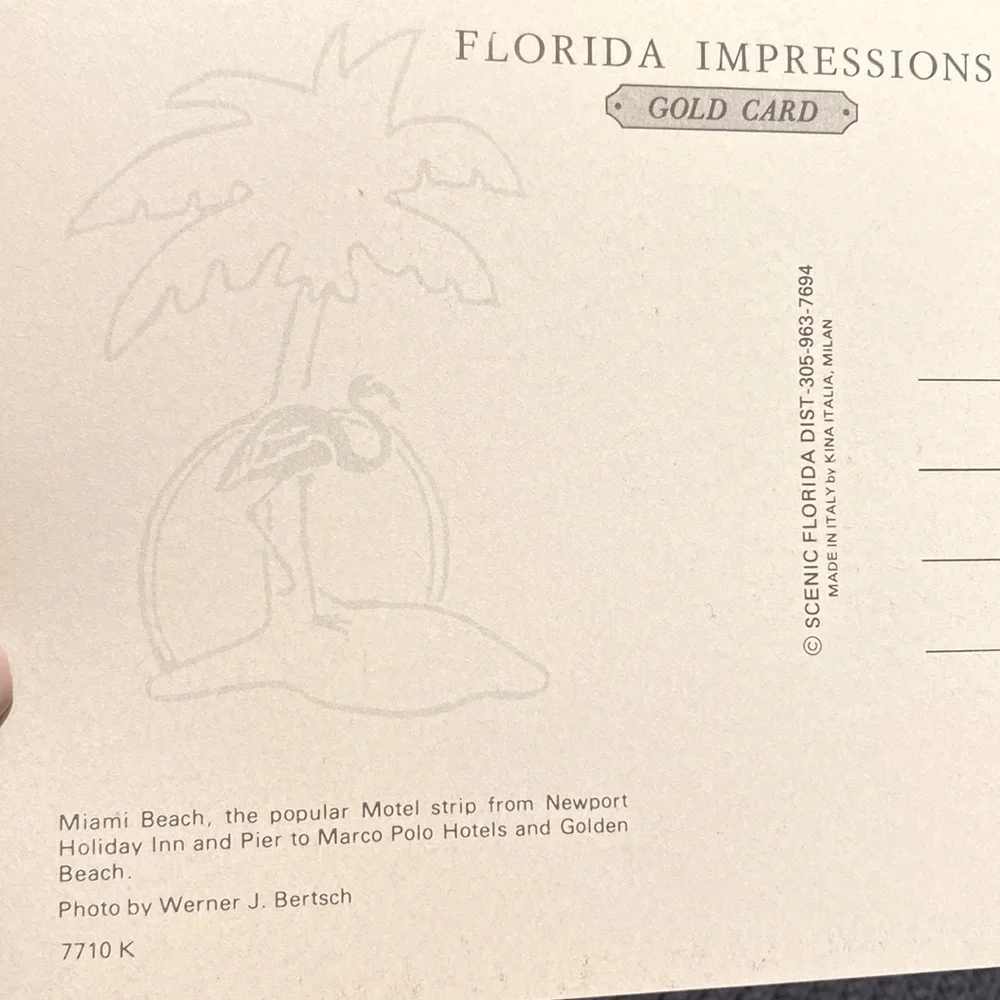 11 Vintage 90’s Scenic Florida Impressions POST CARDS w/ palm trees on back